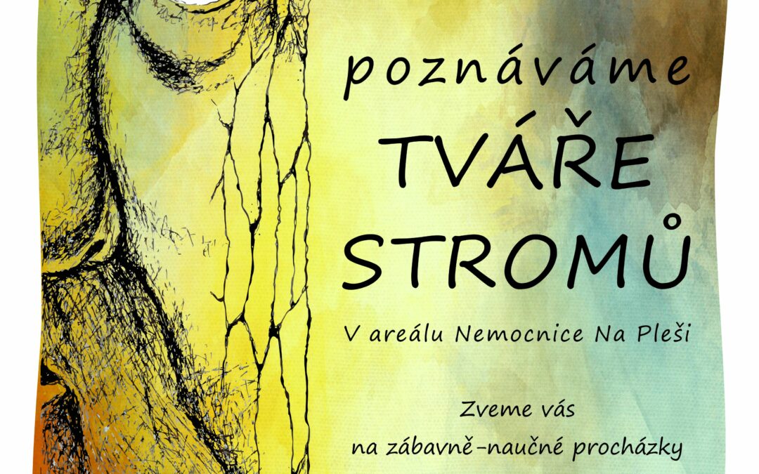 Poznáváme tváře stromů – naučná procházka po areálu nemocnice