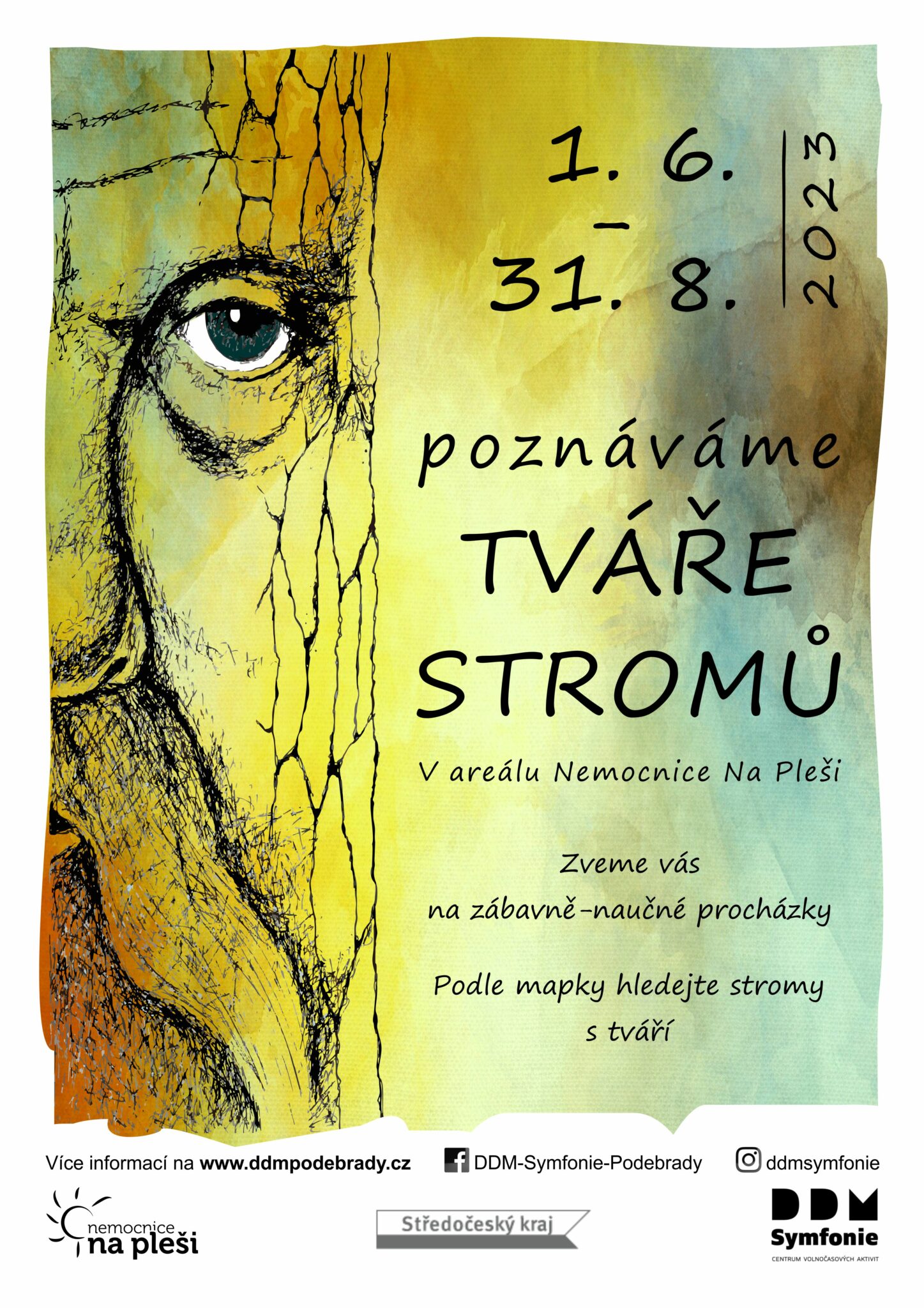 Poznáváme tváře stromů
