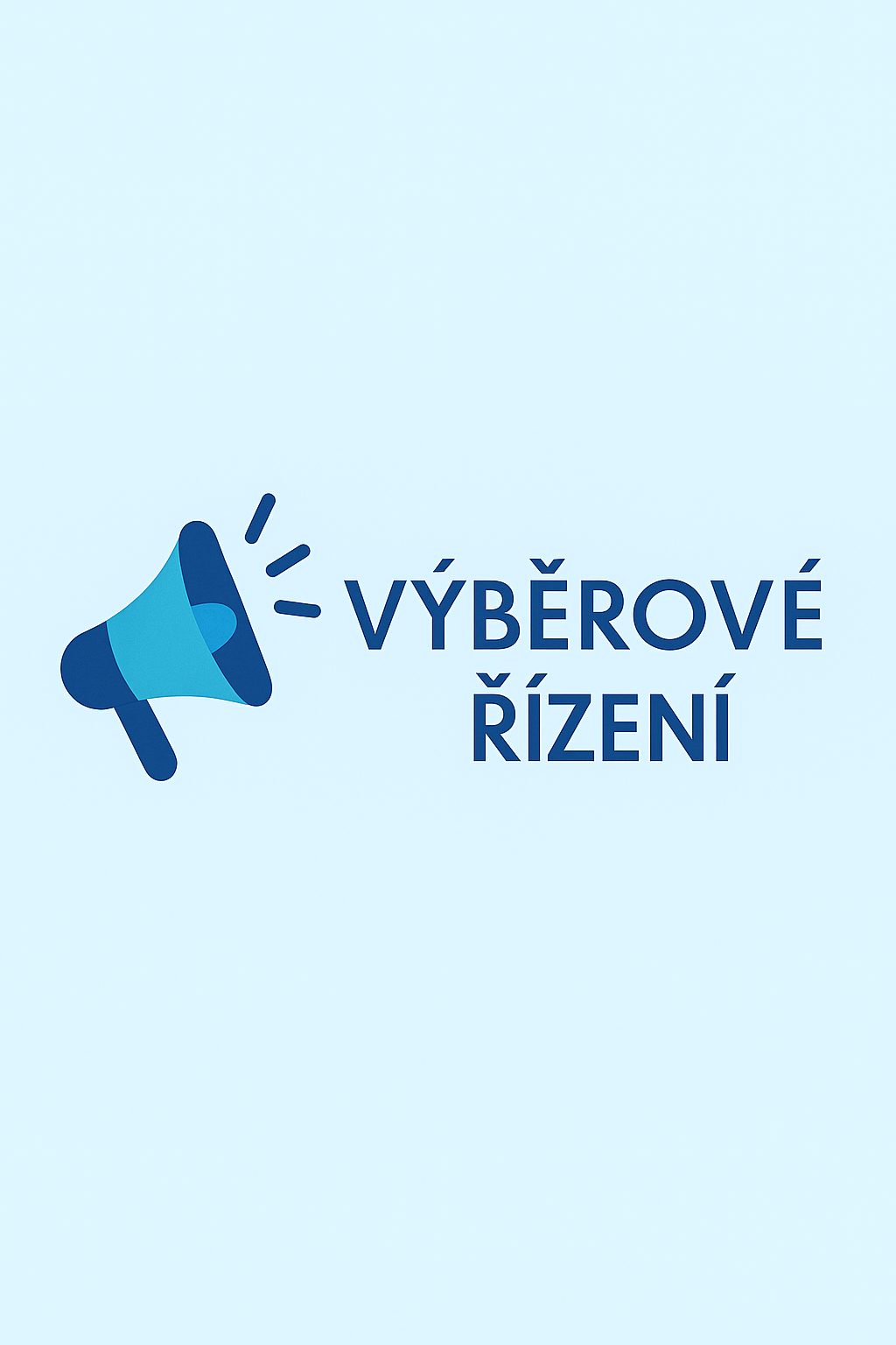 výběrové řízení