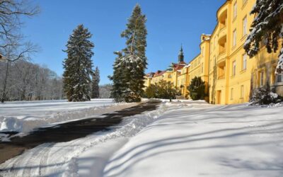 Ambulantní provoz nemocnice během vánočních svátků